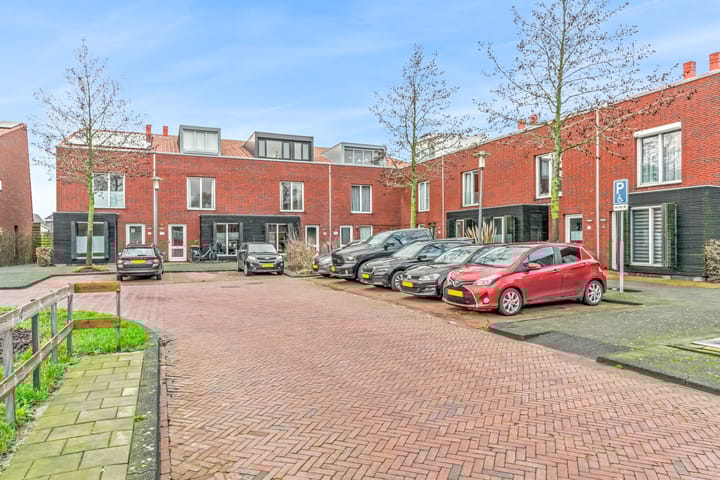 Foto 31 van Rugstreeppad 33