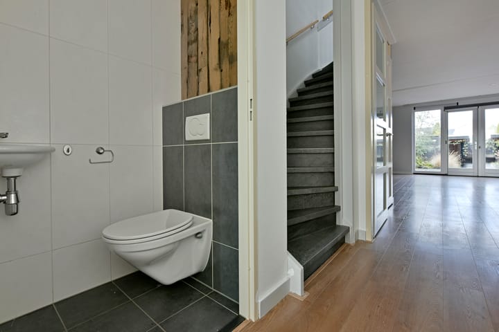 Foto 39 van Rugstreeppad 33