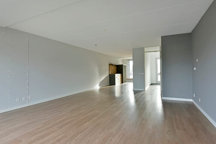 Foto 41 van Rugstreeppad 33