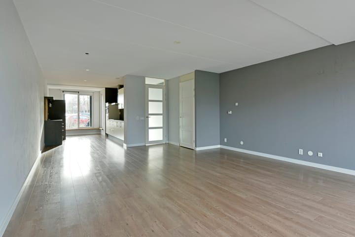 Foto 42 van Rugstreeppad 33