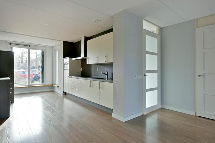 Foto 43 van Rugstreeppad 33