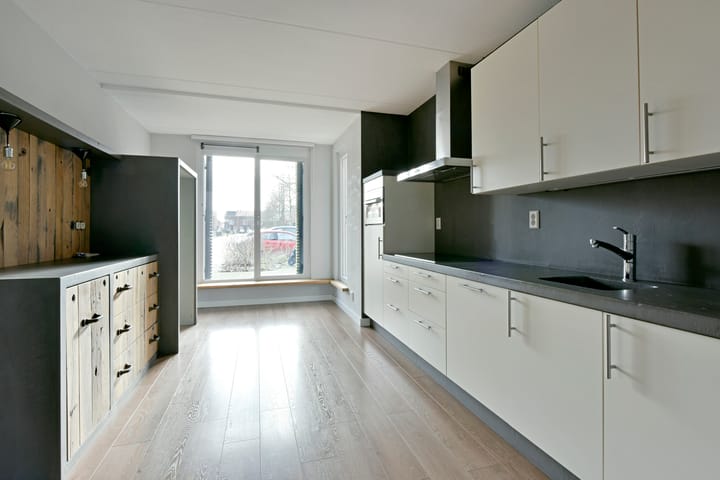 Foto 44 van Rugstreeppad 33