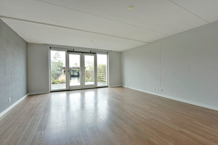 Foto 47 van Rugstreeppad 33