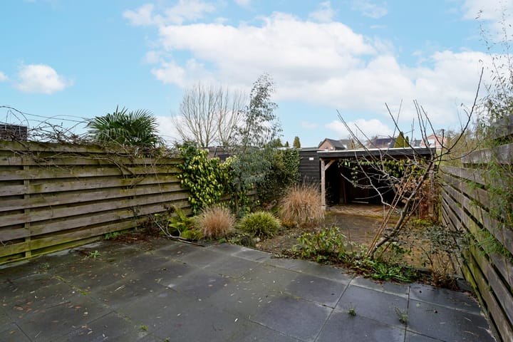 Foto 49 van Rugstreeppad 33