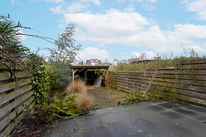 Foto 50 van Rugstreeppad 33