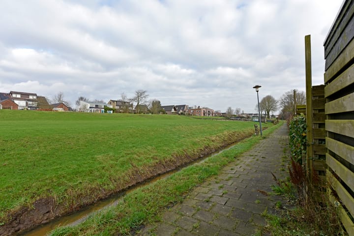 Foto 52 van Rugstreeppad 33