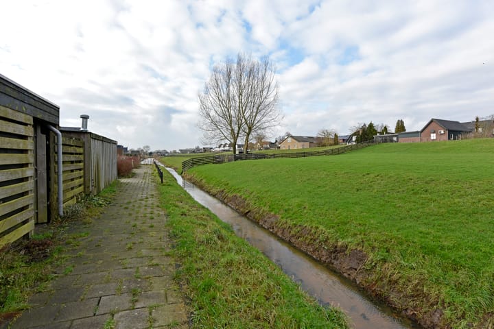 Foto 53 van Rugstreeppad 33