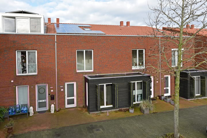 Foto 56 van Rugstreeppad 33