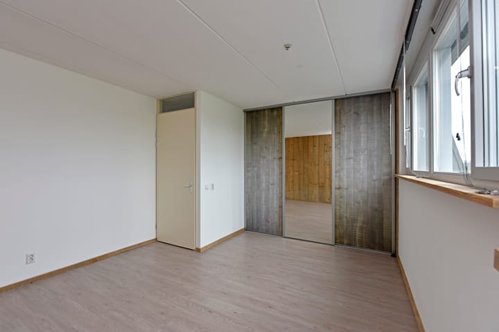 Foto 59 van Rugstreeppad 33