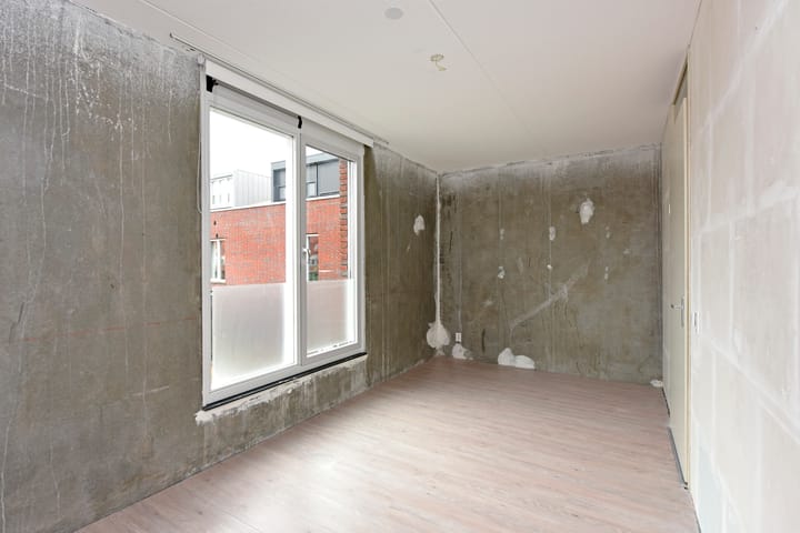 Foto 64 van Rugstreeppad 33