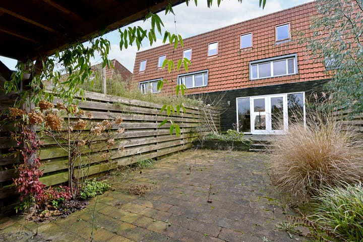 Foto 54 van Rugstreeppad 33