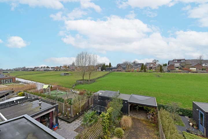 Foto 67 van Rugstreeppad 33