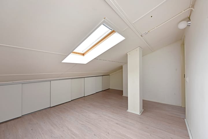 Foto 68 van Rugstreeppad 33