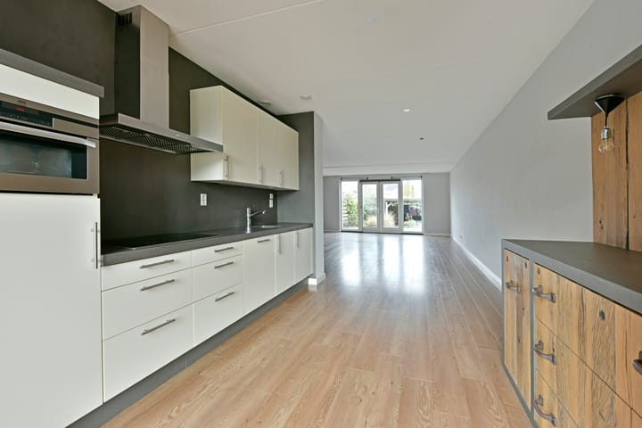 Foto 78 van Rugstreeppad 33