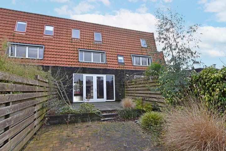 Foto 84 van Rugstreeppad 33