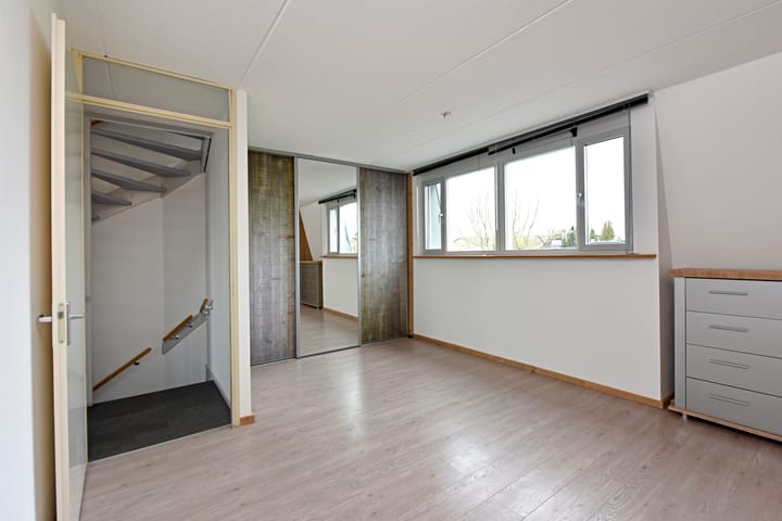 Foto 91 van Rugstreeppad 33