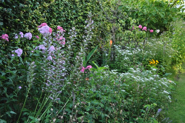 Foto 45 van Gagelveld 15