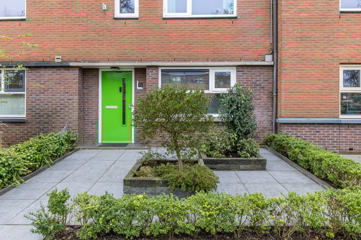 Foto 6 van Rapijnenpolder 19