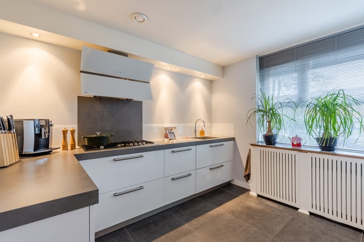 Foto 28 van Rapijnenpolder 19