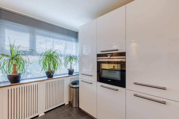 Foto 29 van Rapijnenpolder 19