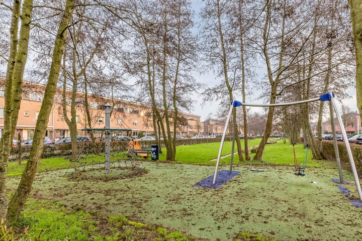 Foto 58 van Rapijnenpolder 19