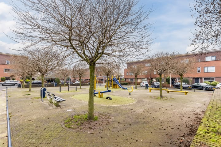 Foto 60 van Rapijnenpolder 19