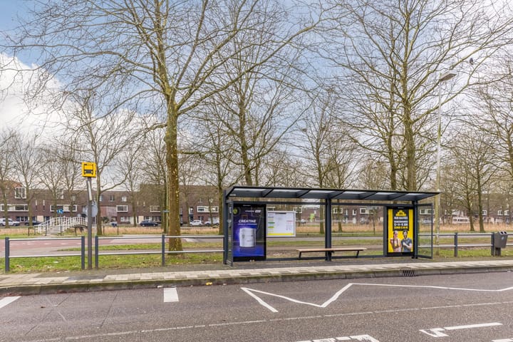 Foto 61 van Rapijnenpolder 19