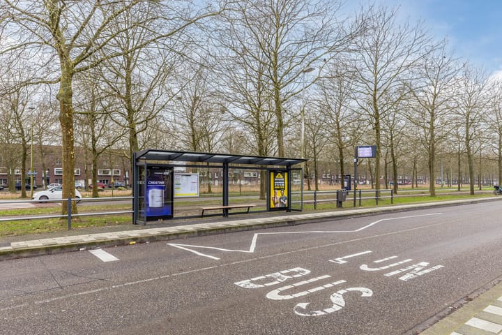 Foto 62 van Rapijnenpolder 19