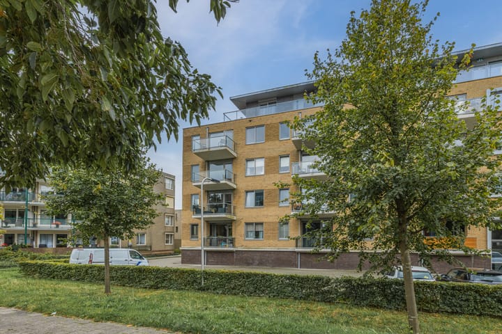 Foto 30 van Jan van Goyenplein 52