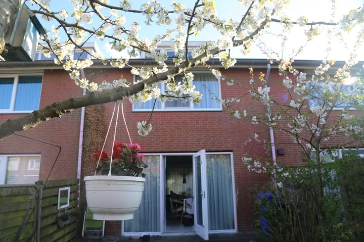 Foto 2 van Nieuwe Wetering 209