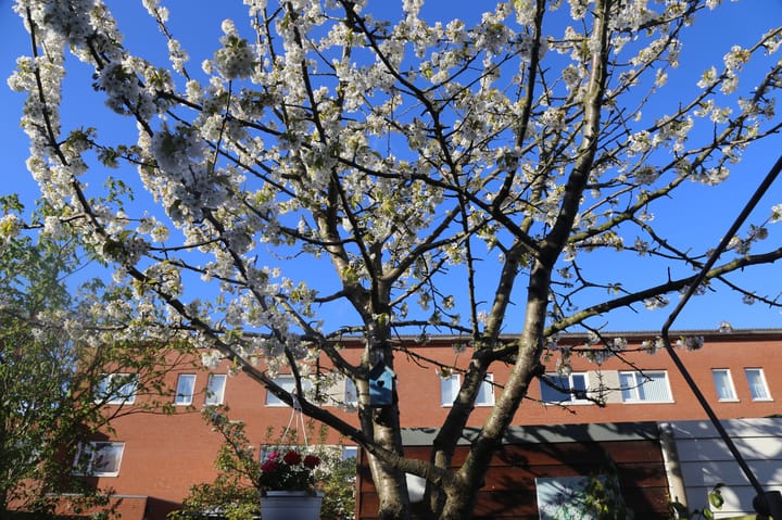 Foto 3 van Nieuwe Wetering 209