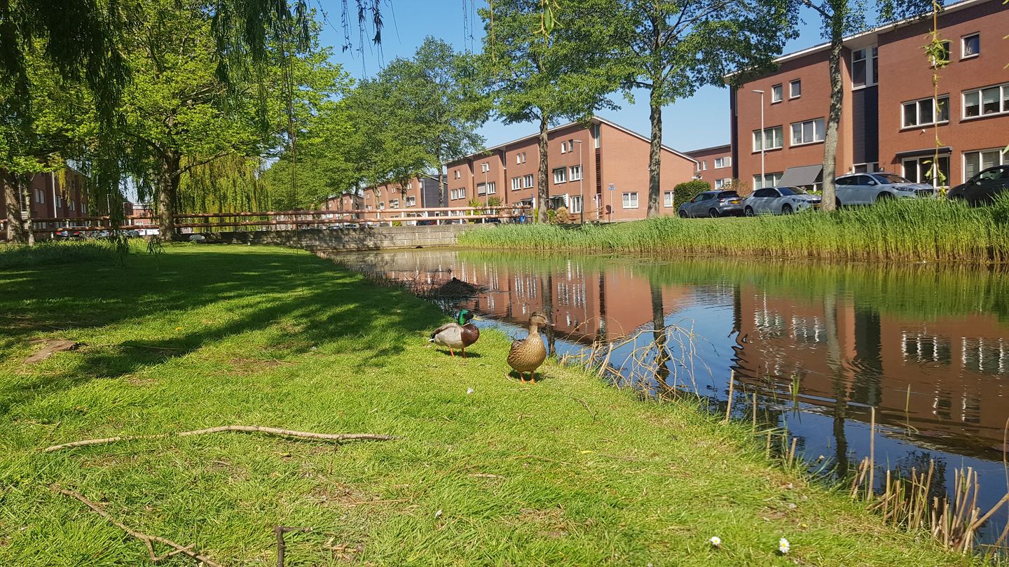 Foto 4 van Nieuwe Wetering 209