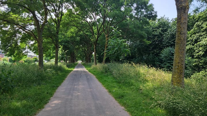 Foto 5 van Nieuwe Wetering 209