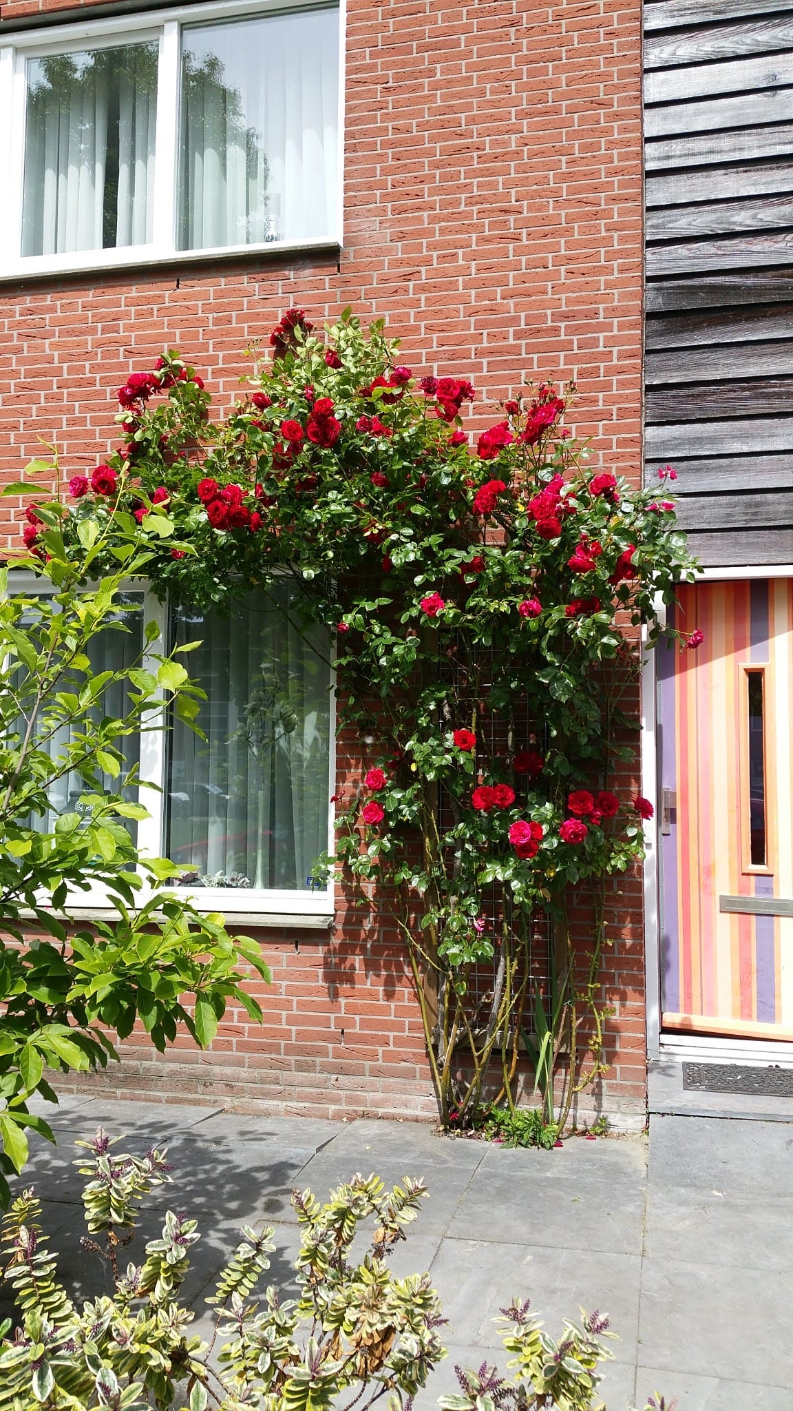 Foto 35 van Nieuwe Wetering 209