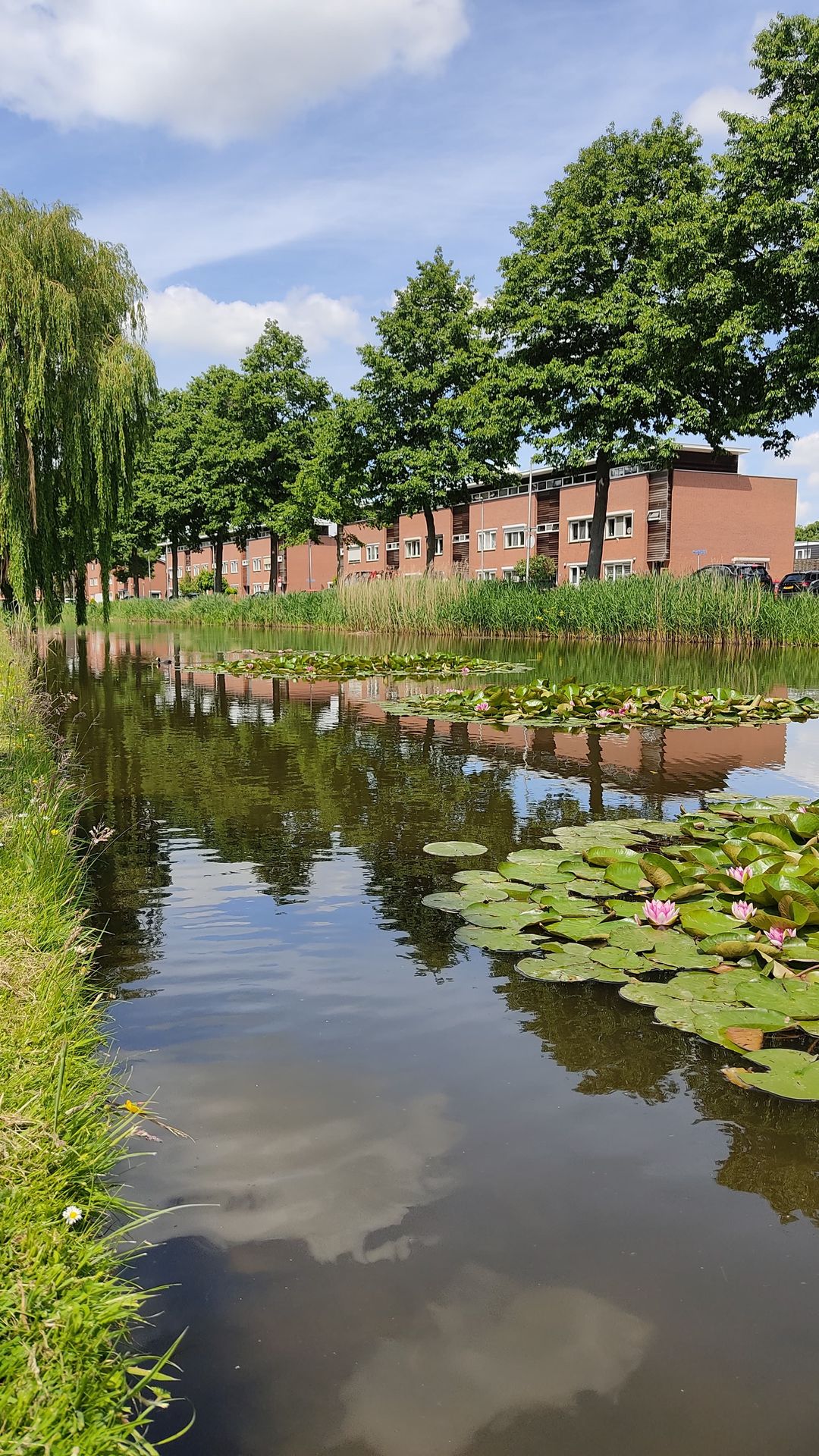 Foto 37 van Nieuwe Wetering 209