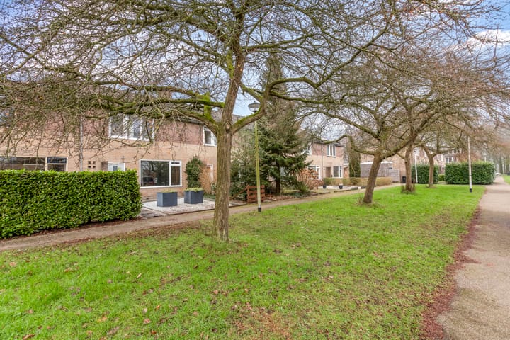 Foto 40 van Laagveld 42