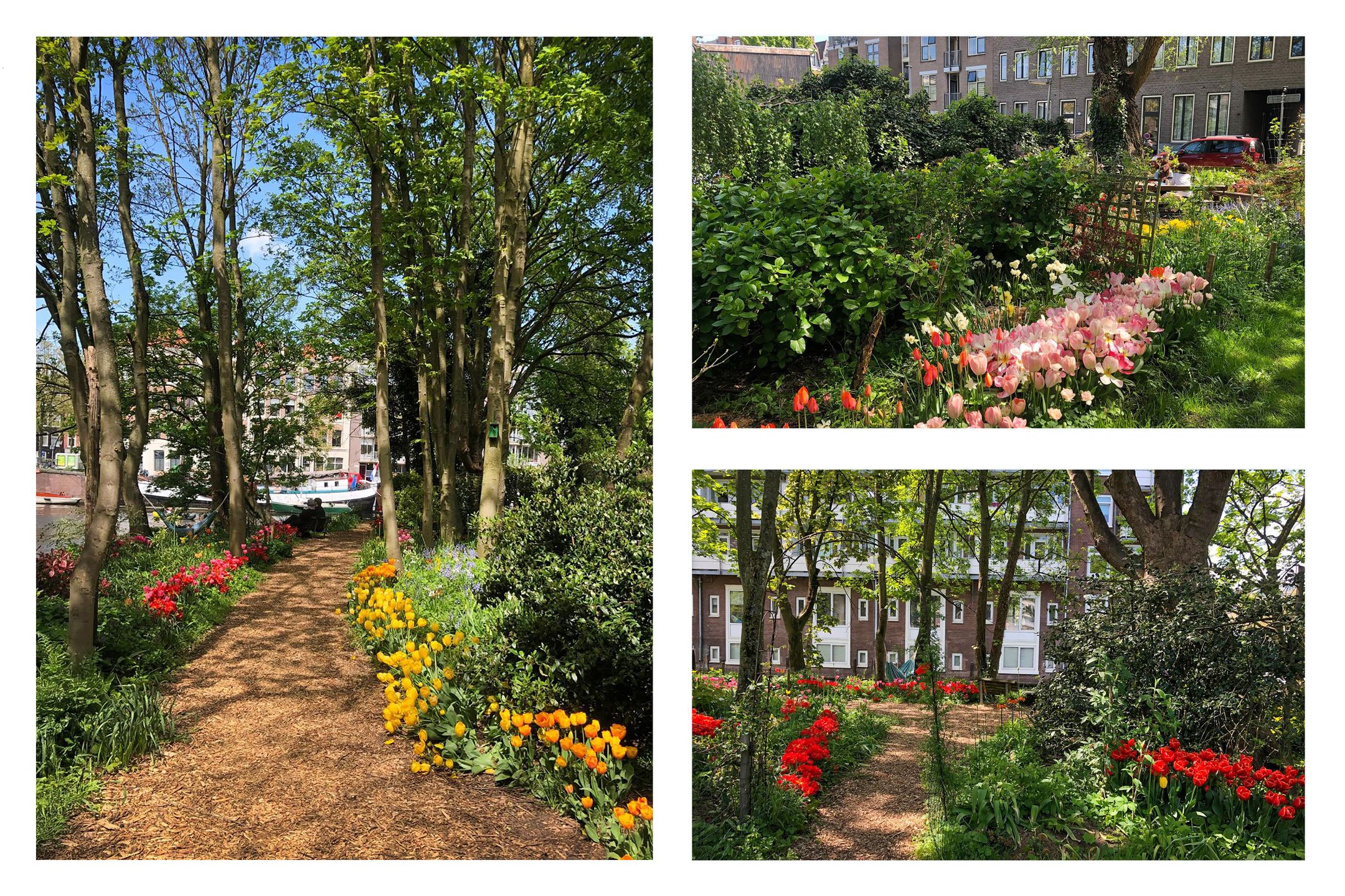 Foto 3 van Vierwindenstraat 209