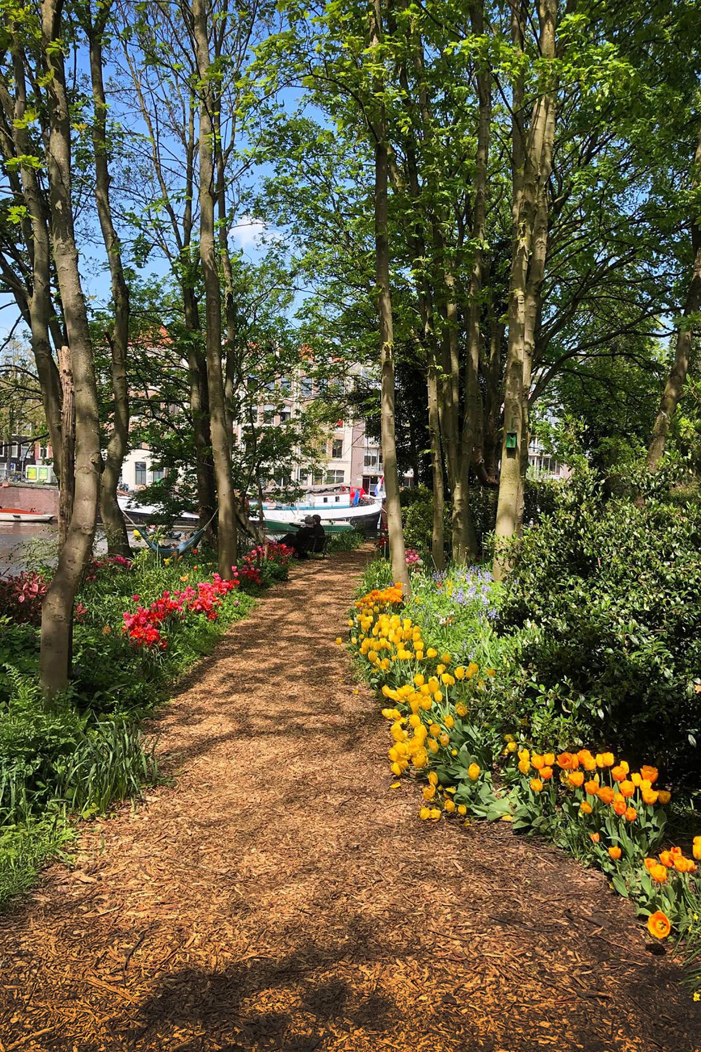 Foto 25 van Vierwindenstraat 209