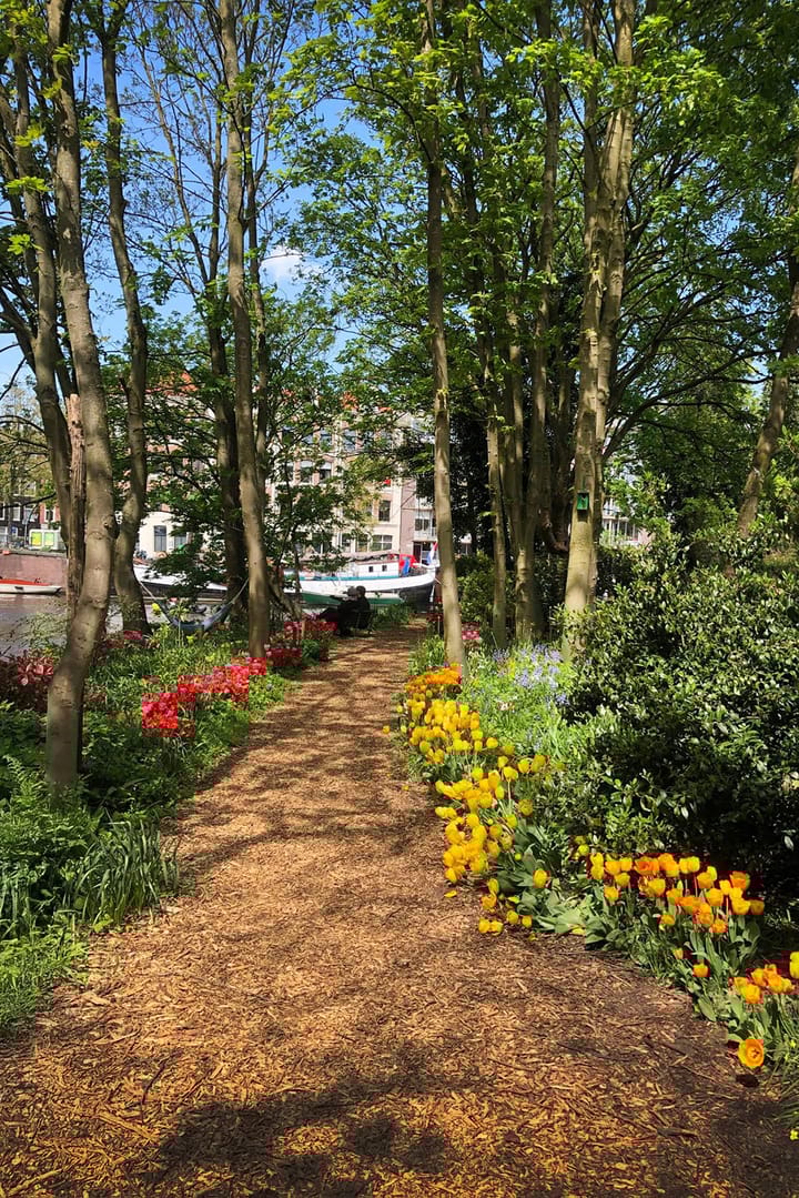 Foto 25 van Vierwindenstraat 209