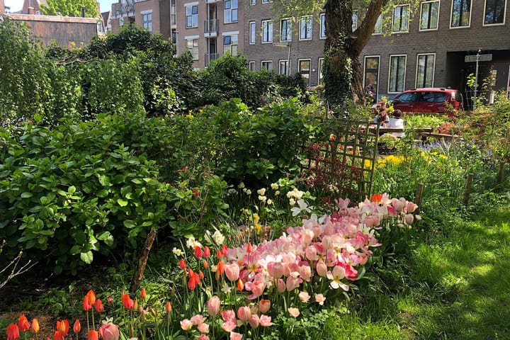 Foto 26 van Vierwindenstraat 209