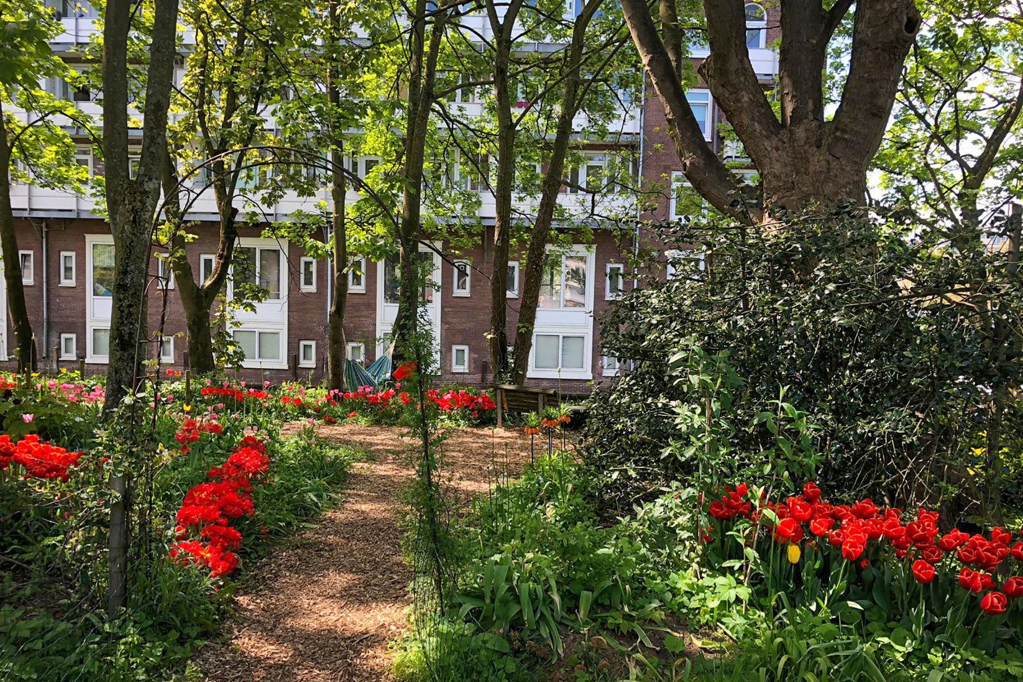 Foto 27 van Vierwindenstraat 209