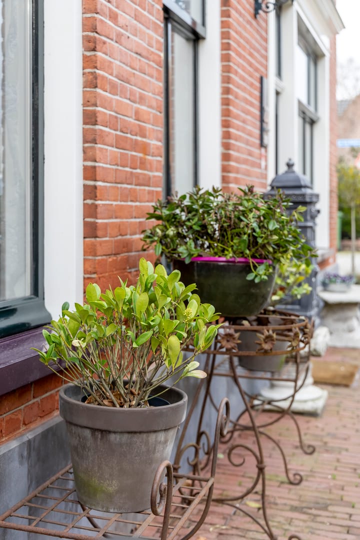 Foto 38 van Gorinchemsestraat 22