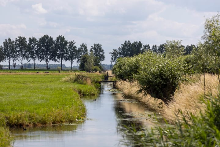 Foto 50 van Gorinchemsestraat 22