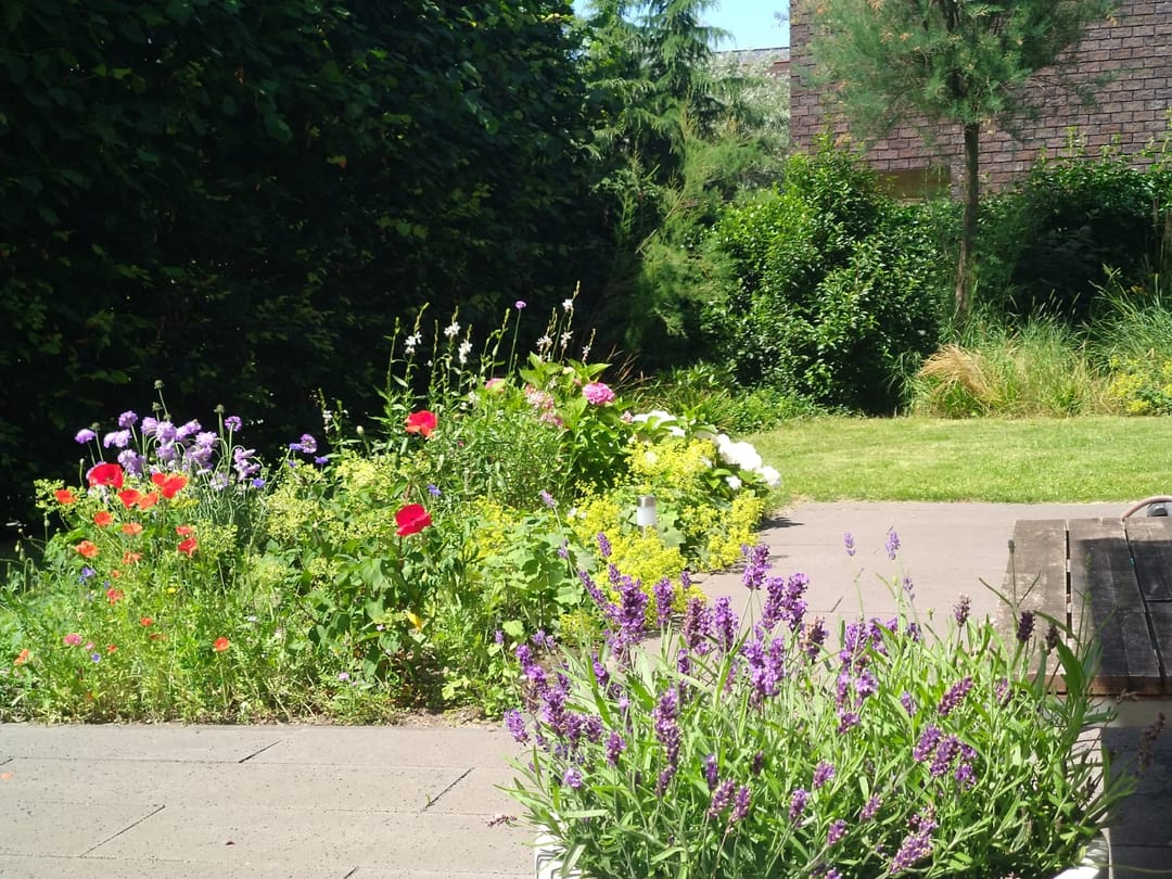 Foto 31 van Tamariskhof 19