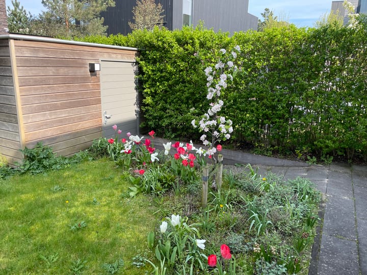 Photo 32 of Tamariskhof 19