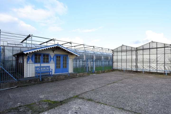 Foto 34 van Delftsestraatweg 50