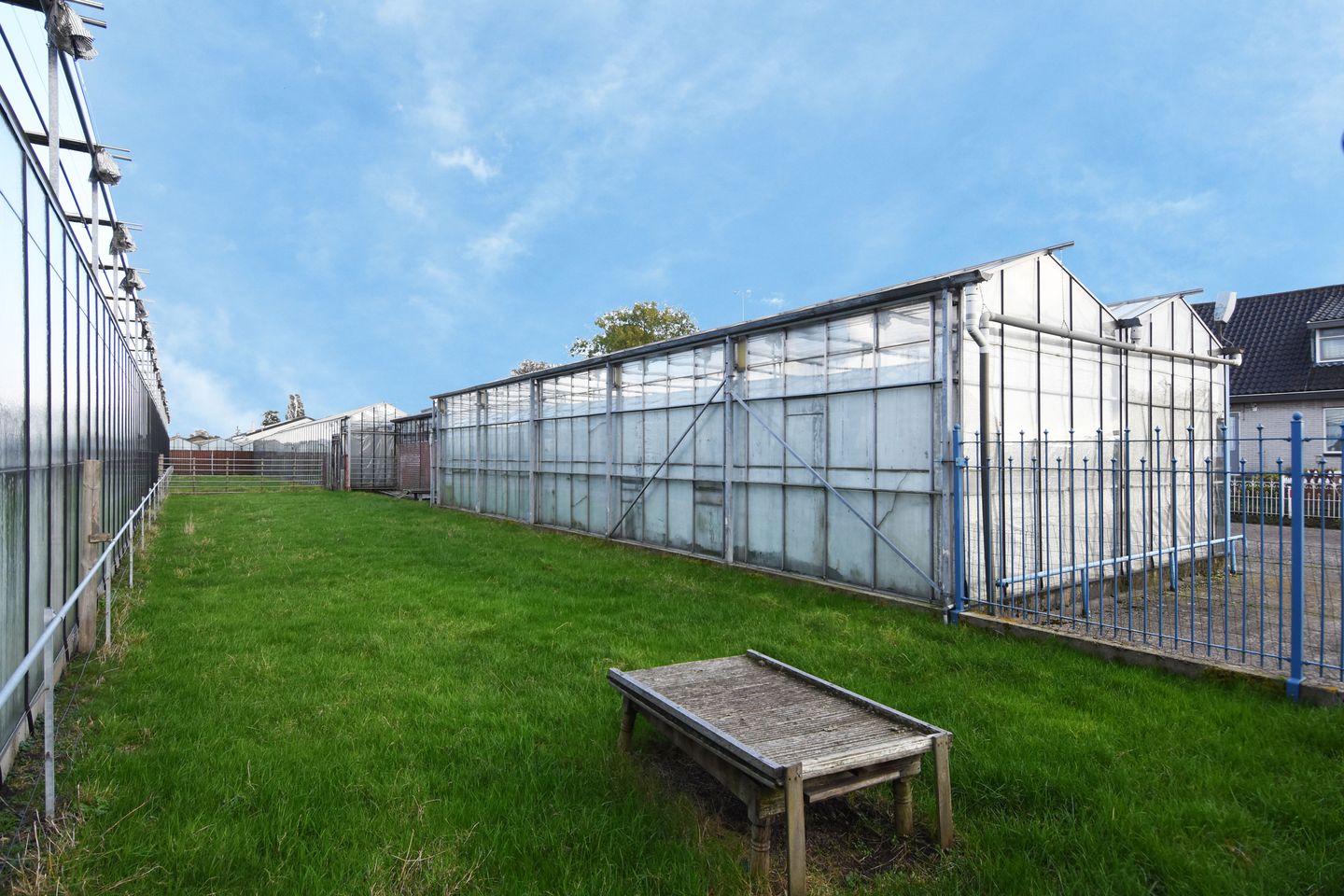 Foto 5 van Delftsestraatweg 50