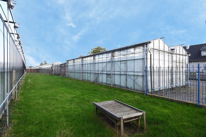 Foto 5 van Delftsestraatweg 50