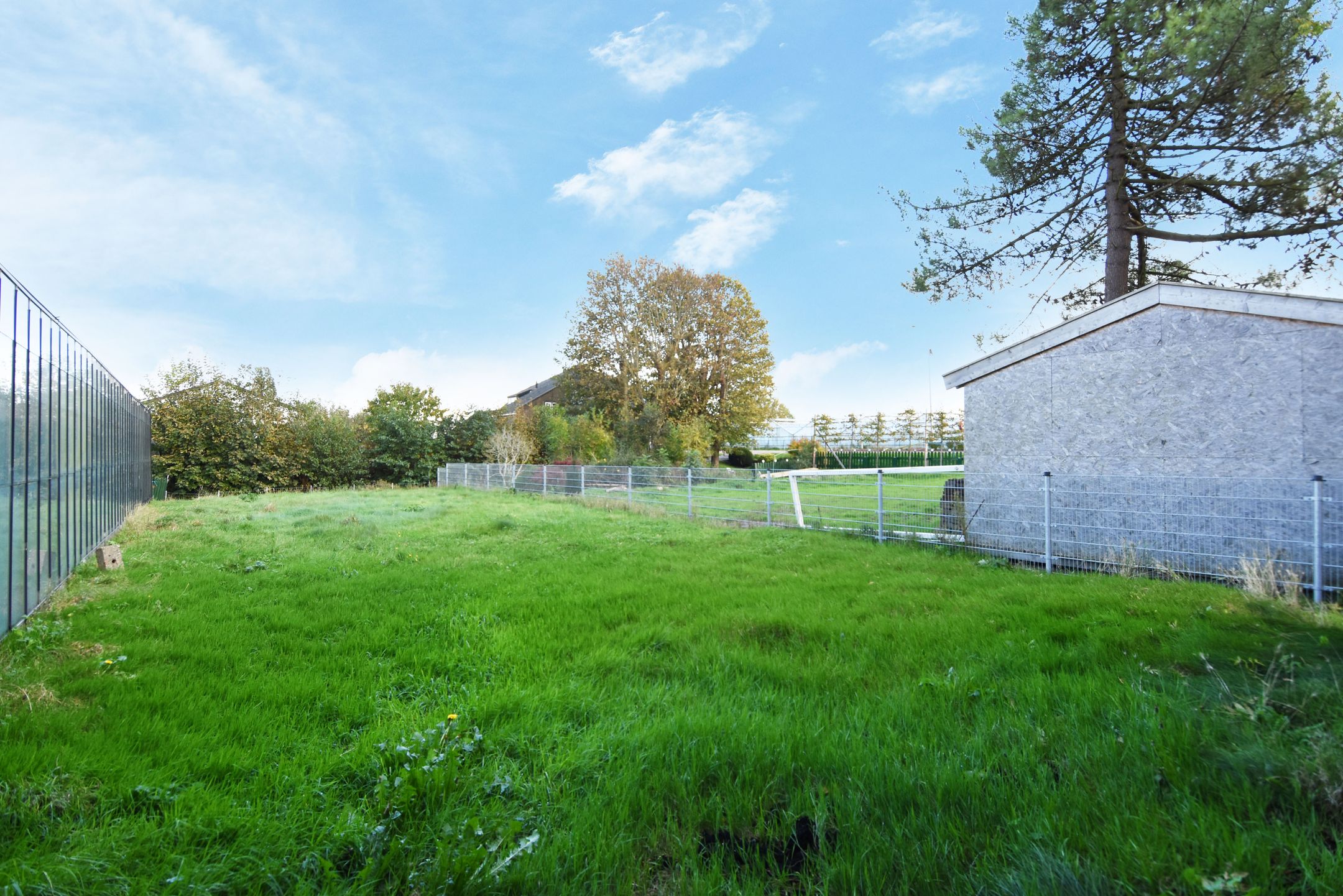 Foto 36 van Delftsestraatweg 50