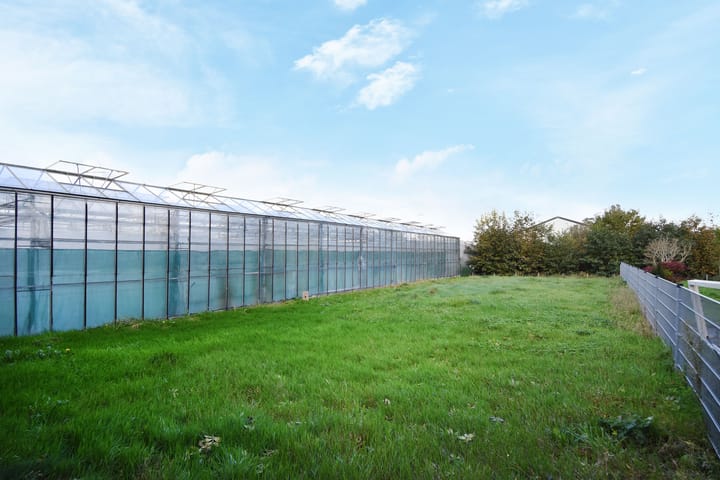 Foto 37 van Delftsestraatweg 50